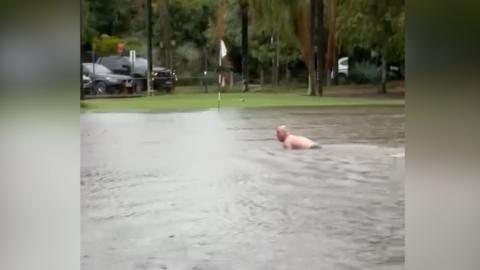 Man swims in puddle on Sydney golf course